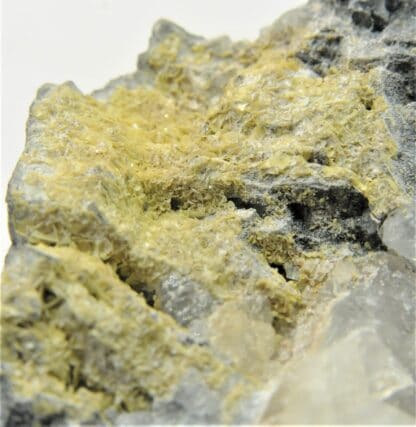 Wulfénite, Hydrocérusite, Galène et Quartz, Griessertal, Canton d’Uri, Suisse.