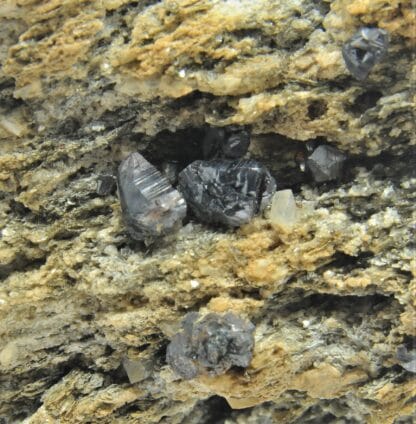 Cristaux de Rutile maclé en genou, Lercheltini, Binntal, Valais, Suisse.