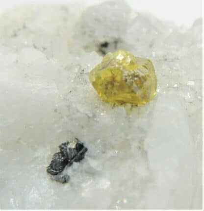 Blende (Sphalérite) sur Quartz, Mine de Lopérec, Finistère, Bretagne.