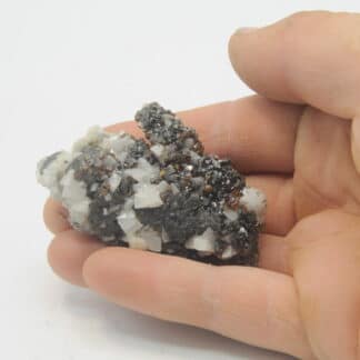 Blende (Sphalérite) et Dolomite, Trèves, Gard.