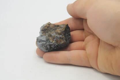 Blende (Sphalérite) sur Galène, Trèves, Gard.