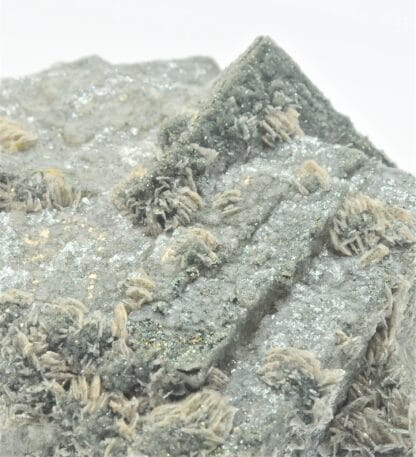 Fluorite (Fluorine), Pyrite et Baryte, Le Rossignol, Chaillac, Indre.