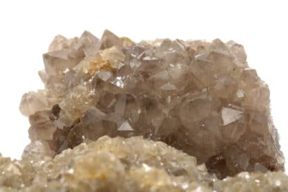 Quartz en cristaux translucides, L'Argentolle, Saône-et-Loire, Morvan.