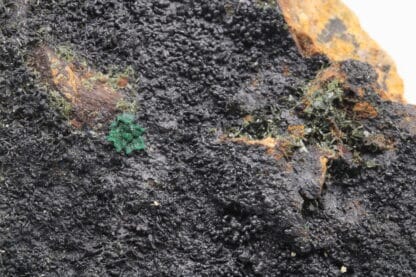 Lampadite et malachite, mine de la Garonne, Le Pradet, Var.