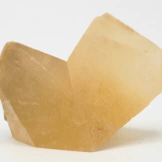 Calcite, macle en bonnet d’évêque, Carrière de Ferques, Pas-de-Calais.