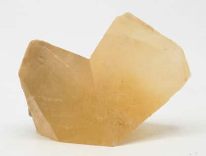 Calcite, macle en bonnet d’évêque, Carrière de Ferques, Pas-de-Calais.