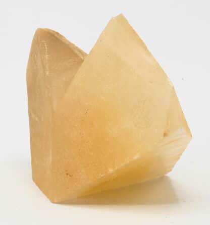 Calcite, macle en bonnet d’évêque, Carrière de Ferques, Pas-de-Calais.