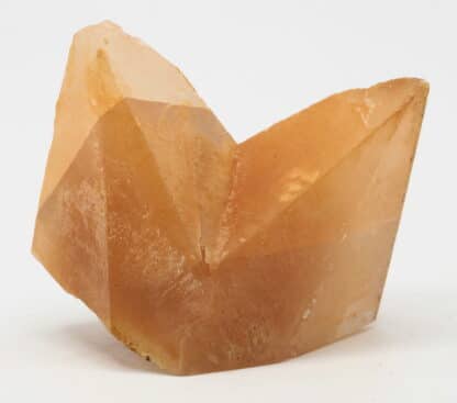 Calcite, macle en bonnet d’évêque, Carrière de Ferques, Pas-de-Calais.