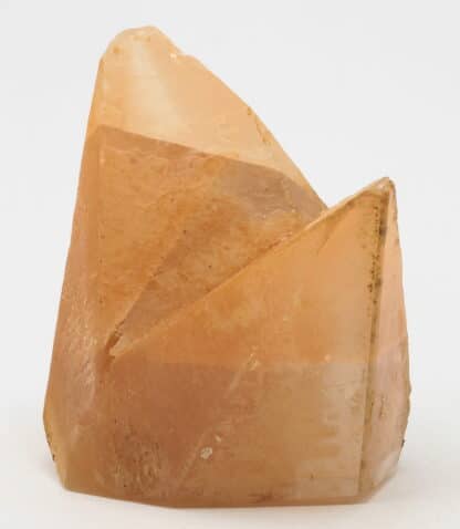 Calcite, macle en bonnet d’évêque, Carrière de Ferques, Pas-de-Calais.