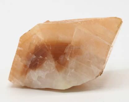 Calcite, macle en bonnet d’évêque, Carrière de Ferques, Pas-de-Calais.