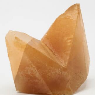 Calcite, macle en bonnet d’évêque, Carrière de Ferques, Pas-de-Calais.