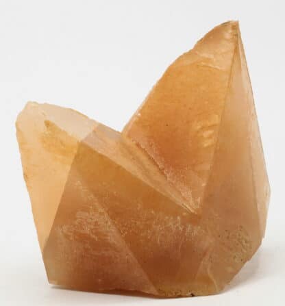 Calcite, macle en bonnet d’évêque, Carrière de Ferques, Pas-de-Calais.