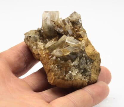 Baryte de Glageon, Avesnois, Nord, Hauts-de-France.