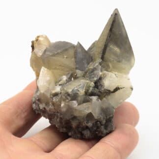 Calcite avec pyrite, carrière de Glageon, Nord, Hauts-de-France.