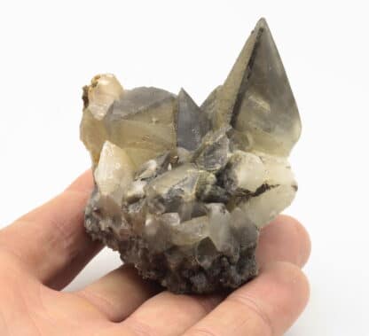 Calcite avec pyrite, carrière de Glageon, Nord, Hauts-de-France.