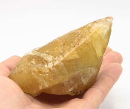 Calcite miel, carrière de Glageon, Avesnois, Nord.