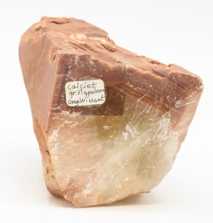 Calcite, macle en bonnet d'évêque, Carrière de Ferques, Pas-de-Calais.