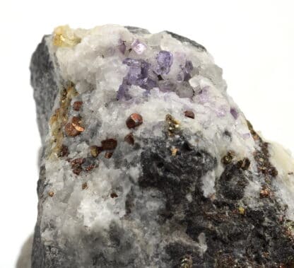 Fluorite et pyrite, Wallers-en-Fagne, Nord, Hauts-de-France.