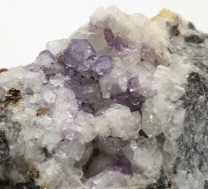 Fluorite et pyrite, Wallers-en-Fagne, Nord, Hauts-de-France.