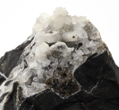 Cristaux de quartz dans septaria, Vieux-Condé, Nord.