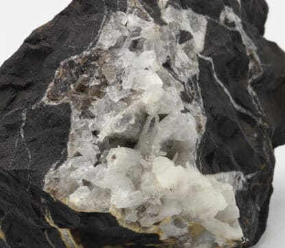 Cristaux de quartz dans septaria, Vieux-Condé, Nord.