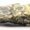 Schalenblende, Mine de Pomorzany, comté d'Olkusz, Pologne.