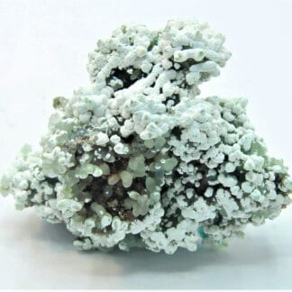 Smithsonite et Hydrozincite, Gisement de M’Fouati, Congo.