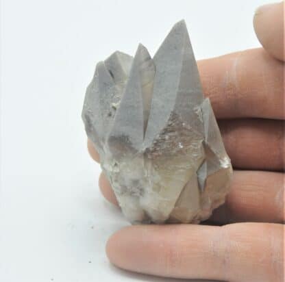 Calcite à fantômes rouges, Glageon, Nord. – Image 4