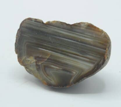 Achat gradstreifig (Agate), Uruguay.