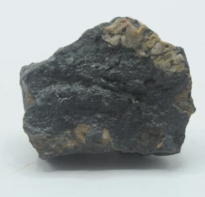 Wisingerit, Goethite, Musée Bally.