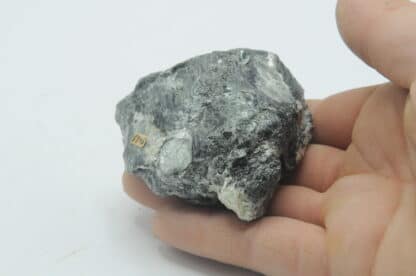 Penninglimmer (Mica), Vallée de Unteralp, Suisse. – Image 4