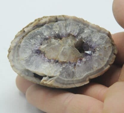 Amethystdruse, Calcit einschliessend in Achatkugel (Quartz, Calcite, Agate), Brésil.