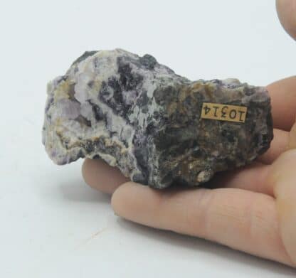 Amethyst & violetter Fluorit (Quartz et Fluorite), Schwandorf, Bayern (Bavière), Allemagne.