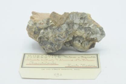 Muscovite testacée, Chanteloube, Haute-Vienne, Limousin.