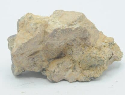 Muscovite testacée, Chanteloube, Haute-Vienne, Limousin.