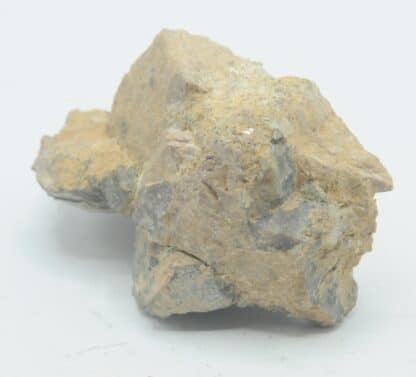 Muscovite testacée, Chanteloube, Haute-Vienne, Limousin.