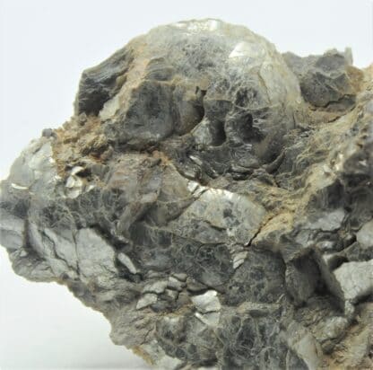 Muscovite testacée, Chanteloube, Haute-Vienne, Limousin.