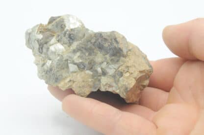 Muscovite testacée, Chanteloube, Haute-Vienne, Limousin.