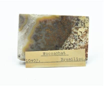 Moosachat (Agate mousse), Brésil.