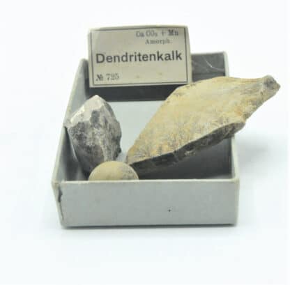 Dendritenkalk (Dendrites de Manganèse sur calcaire), Musée Bally.