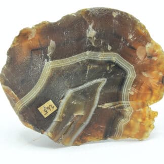 Festungsachat (Agate), Paraguay.