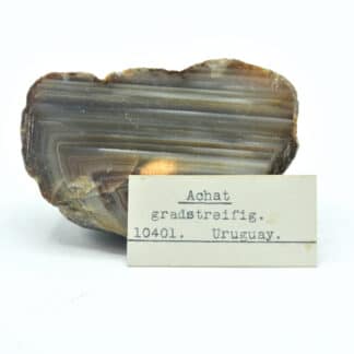 Achat gradstreifig (Agate), Uruguay.