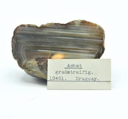 Achat gradstreifig (Agate), Uruguay.