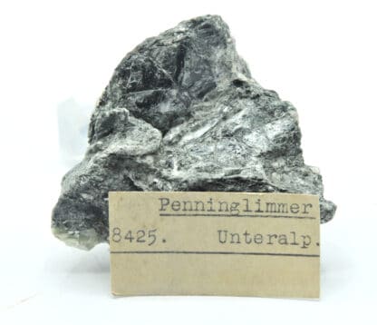 Penninglimmer (Mica), Vallée de Unteralp, Suisse.