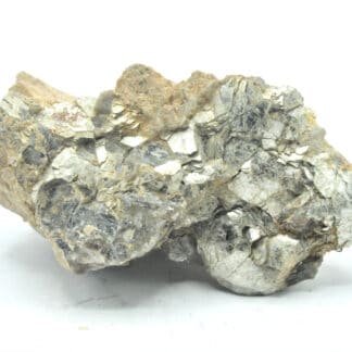 Muscovite testacée, Chanteloube, Haute-Vienne, Limousin.