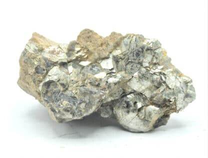 Muscovite testacée, Chanteloube, Haute-Vienne, Limousin.