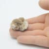 Natrolite, Analcime et Calcite, Wasson Bluff, Nova Scotia, Canada.