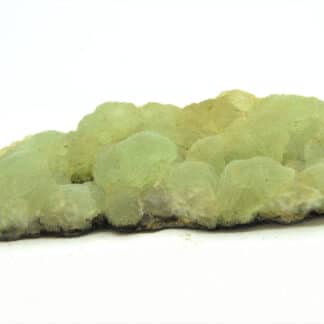 Prehnite, Woodland Park, West Paterson, New Jersey, USA (États-Unis).