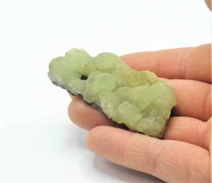 Prehnite, Woodland Park, West Paterson, New Jersey, USA (États-Unis).