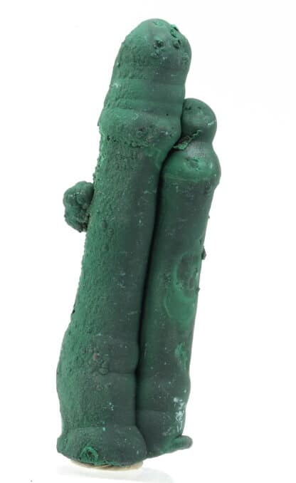 Malachite stalactiforme, Katanga, Congo (RDC).